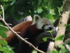 20150601-Wien-0020.jpg